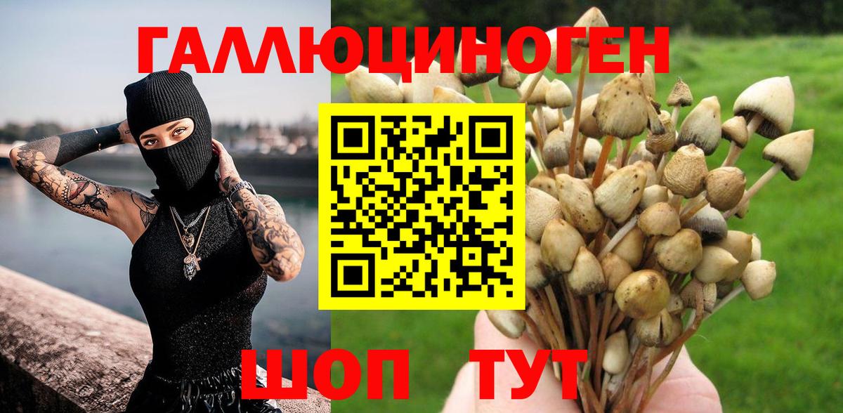 Галлюциногенные грибы прущие грибы  Вход с VPN  сколько стоит  Муравленко 